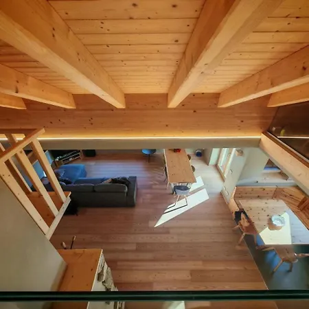 Selva Loft